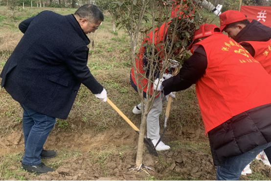 2570761F@5ECB2C06.3E704860.png.jpg.png 2570761F@5ECB2C06.3E704860.png.jpg.png