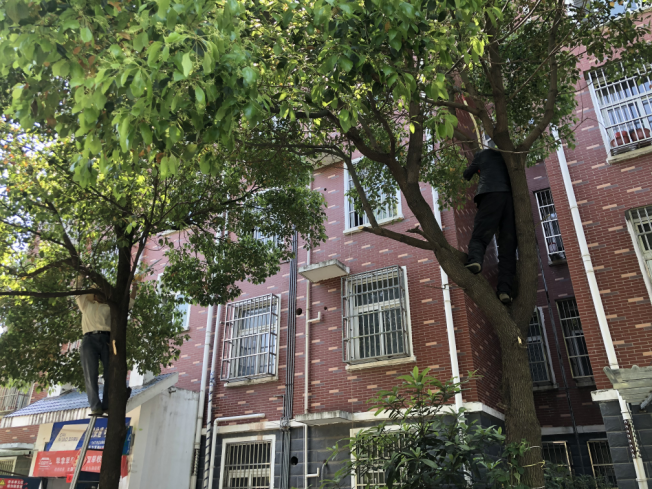 图片1.png 图片1.png