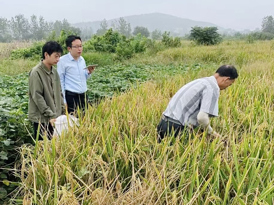 图片4.png 图片4.png