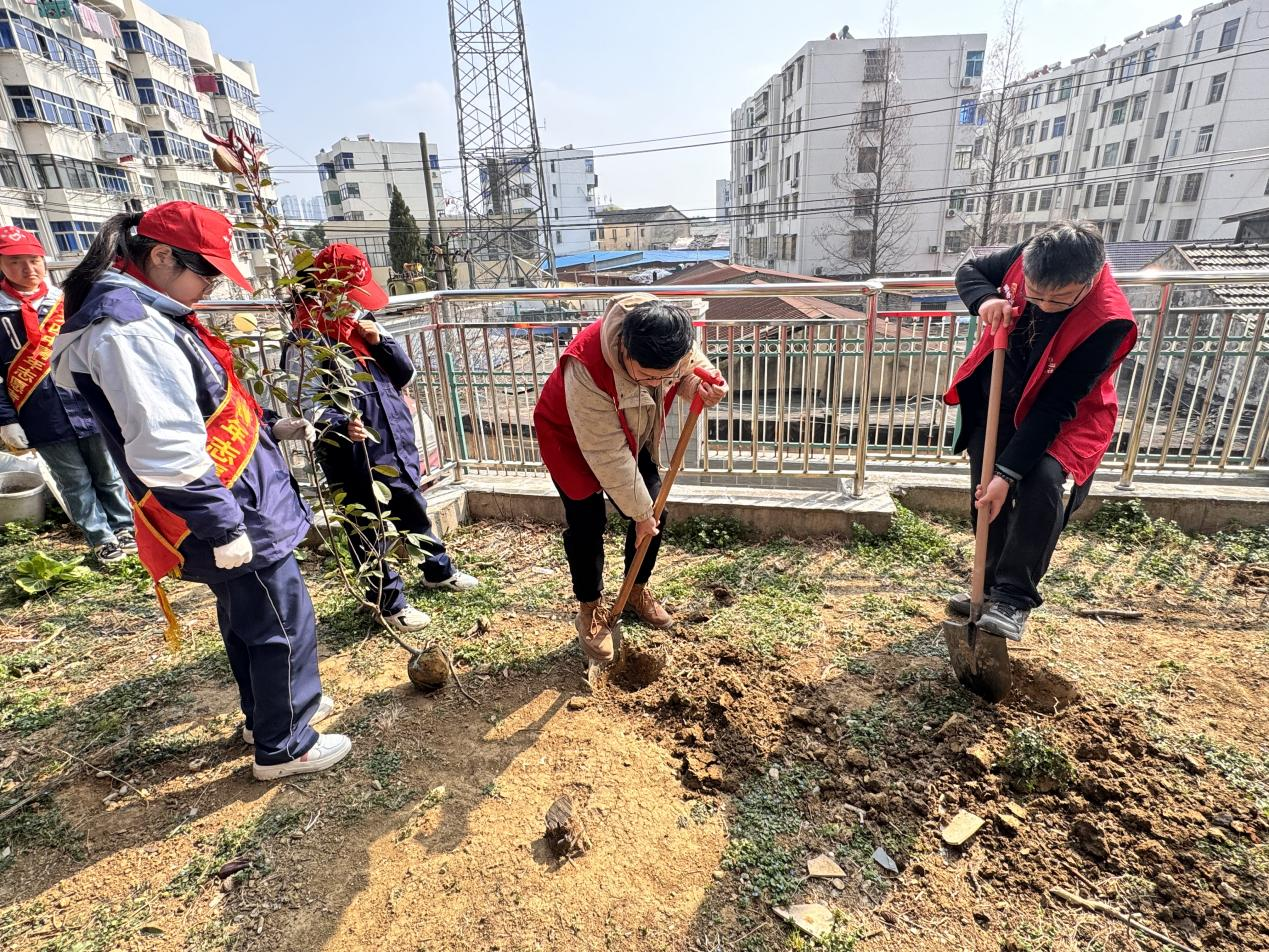 图片9.png 图片9.png