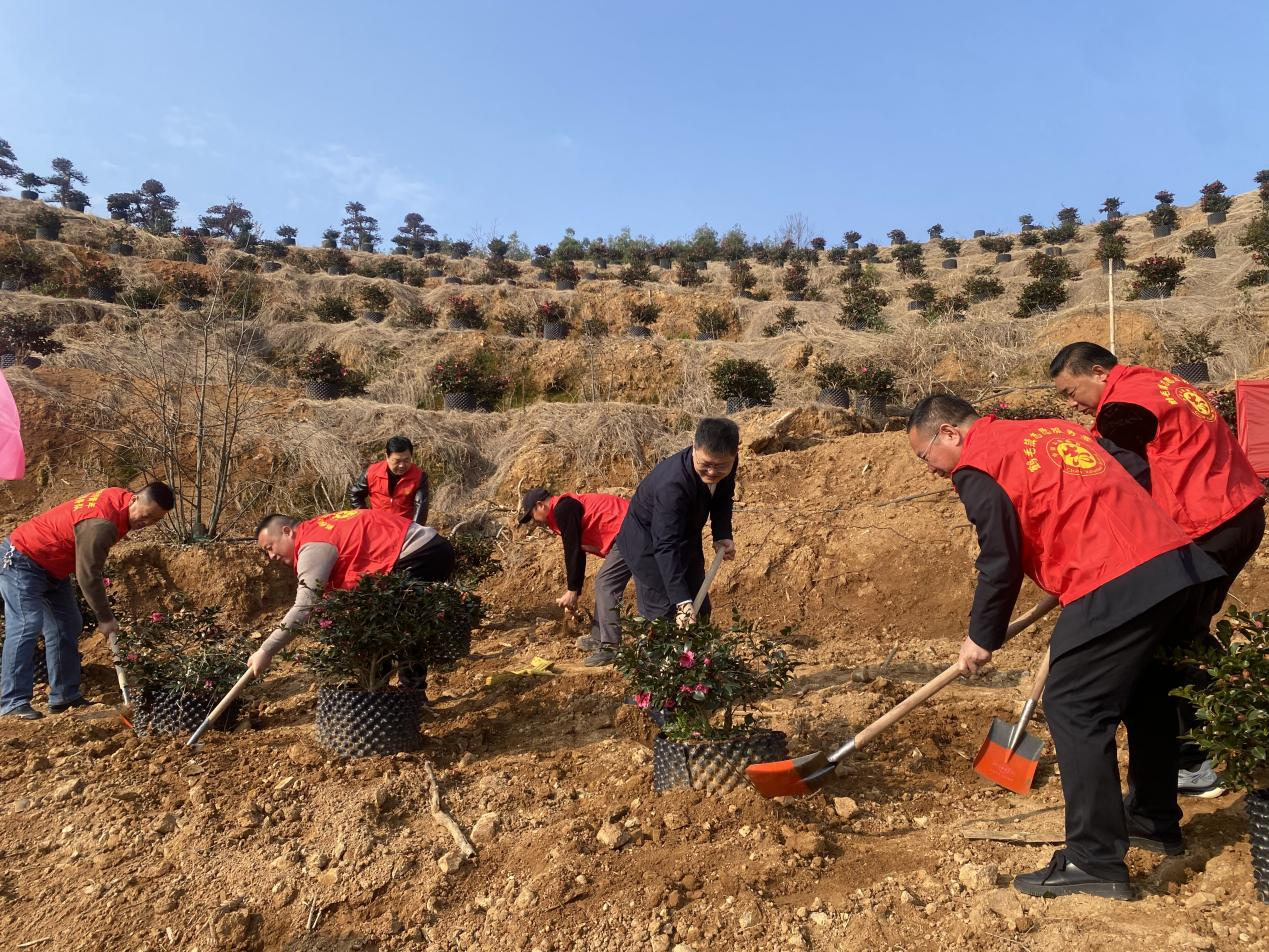 ͼƬ25.png ͼƬ25.png